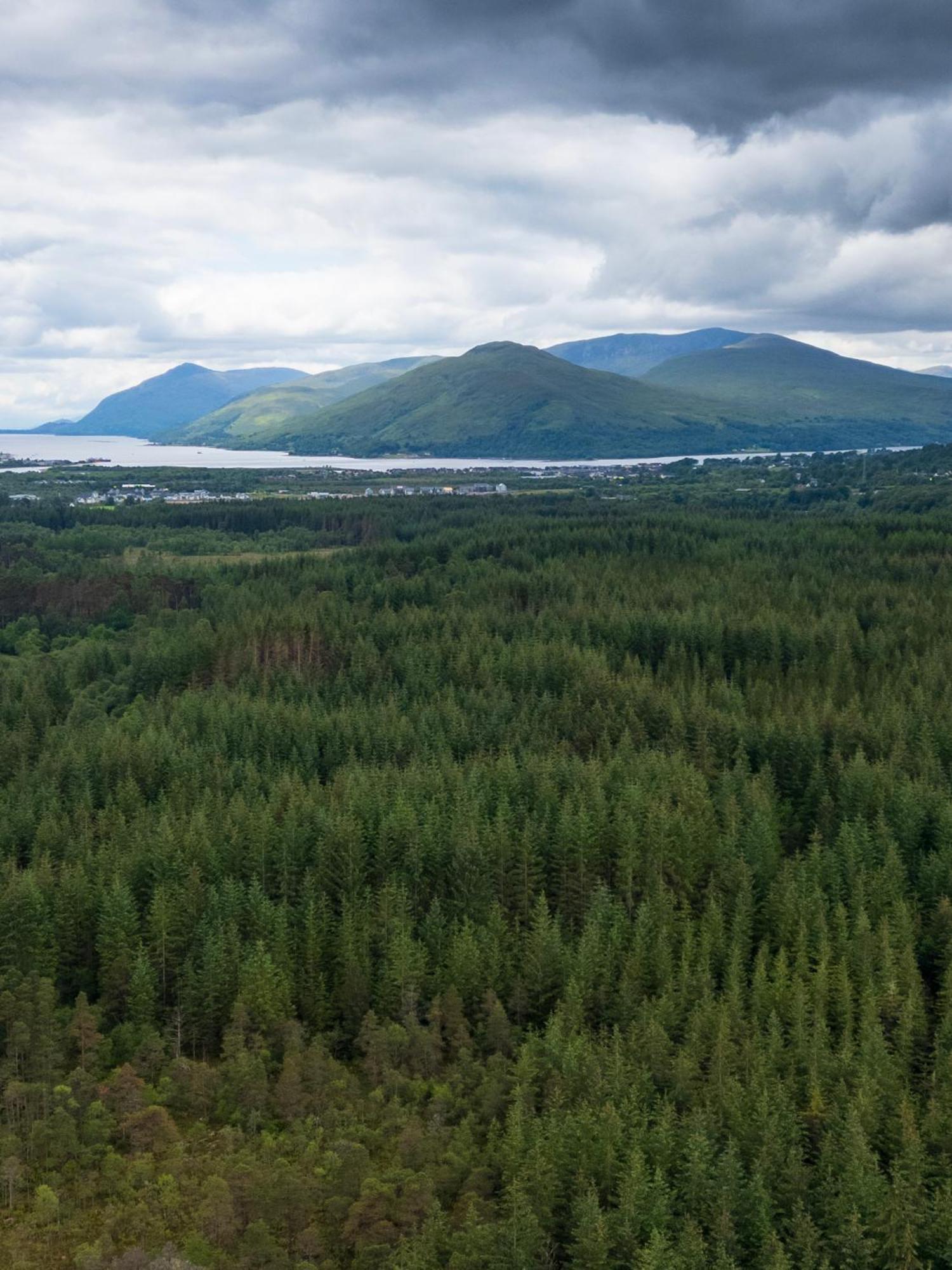Kingswood Lodges Форт Уилям Екстериор снимка